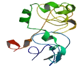 EGF Like Module Containing Mucin Like Hormone Receptor 1 (EMR1)