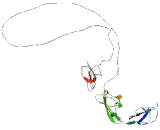 EGF Like Module Containing Mucin Like Hormone Receptor 2 (EMR2)