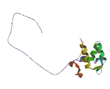 EH Domain Containing Protein 1 (EHD1)