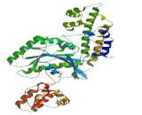 EH Domain Containing Protein 2 (EHD2)