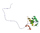 EH Domain Containing Protein 4 (EHD4)