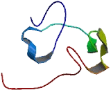 EIG121 Like Protein (EIG121L)