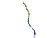 ELKS/RAB6 Interacting/CAST Family, Member 1 (ERC1)