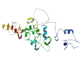 ELMO/CED-12 Domain Containing Protein 3 (ELMOD3)