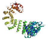 ENTH Domain Containing Protein 1 (ENTHD1)