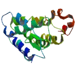 EP300 Interacting Inhibitor Of Differentiation 1 (EID1)