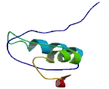 EP300 Interacting Inhibitor Of Differentiation 2 (EID2)