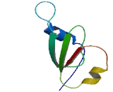 EP300 Interacting Inhibitor Of Differentiation 2B (EID2B)