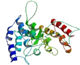 EP300 Interacting Inhibitor Of Differentiation 3 (EID3)