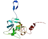 EP400 N-Terminal Like Protein (EP400NL)