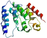 EPM2A Interacting Protein 1 (EPM2AIP1)