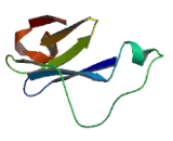 ER Membrane Protein Complex Subunit 1 (EMC1)