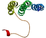 ES Cell Associated Transcript 1 (ECAT1)