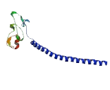 Early Endosome Antigen 1 (EEA1)