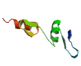 Early Growth Response Protein 3 (EGR3)