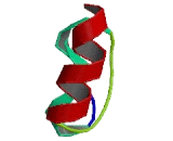 Early Hematopoietic Zinc Finger Protein (EHZF)