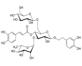 Echinacoside (Ech)