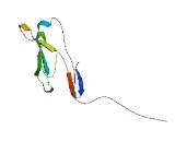 Ectodermal Neural Cortex Protein 1 (ENC1)