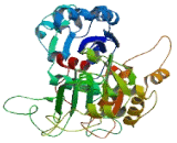 Ectonucleoside Triphosphate Diphosphohydrolase 7 (ENTPD7)