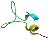 Ectonucleotide Pyrophosphatase/Phosphodiesterase 3 (ENPP3)