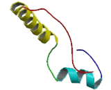 Ectonucleotide Pyrophosphatase/Phosphodiesterase 4 (ENPP4)