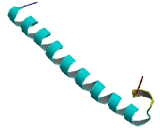 RAB11 Family Interacting Protein 3 (RAB11FIP3)