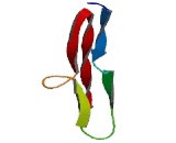 Elastin Microfibril Interface Located Protein 2 (EMILIN2)