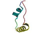 Electrogenic Sodium Bicarbonate Cotransporter 2 (NBC2)