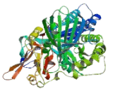 Electron Transferring Flavoprotein Dehydrogenase (ETFDH)