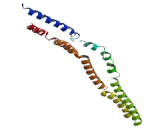 Ellis Van Creveld Syndrome Protein 2 (EVC2)