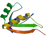 Elongation Factor Tu GTP Binding Domain Containing Protein 1 (EFTUD1)