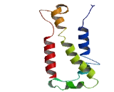 Elongation Of Very Long Chain Fatty Acids Like Protein 2 (ELOVL2)