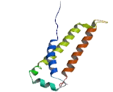 Elongation Of Very Long Chain Fatty Acids Like Protein 6 (ELOVL6)