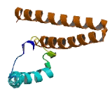 Elongation Of Very Long Chain Fatty Acids Like Protein 7 (ELOVL7)