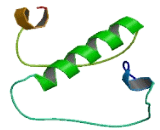 Elongation Protein 4 (ELP4)