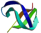 Embryonal Fyn Associated Substrate (EFS)