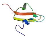 Emopamil Binding Protein, Sterol Isomerase (EBP)