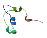 Endo Beta-N-Acetylglucosaminidase (ENGASE)