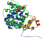 Endogenous Bornavirus Like Nucleoprotein 1 (EBLN1)