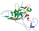 Endogenous Retroviral Family W, Env Member 1 (ERVWE1)