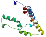 Endoplasmic Reticulum Golgi Intermediate Compartment Protein 1 (ERGIC1)