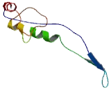 Endoplasmic Reticulum Golgi Intermediate Compartment Protein 3 (ERGIC3)