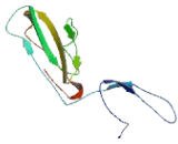 Endothelial Cell Specific Molecule 2 (ECSM2)