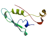 Endothelial Precursor Protein B9 (EPPB9)