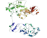 Enhancer Of Polycomb Homolog 1 (EPC1)