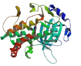 Enhancer Of Zeste Homolog 1 (EZH1)