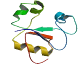 Enhancer Of mRNA Decapping Protein 2 (EDC2)