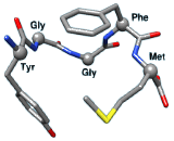 Enkephalin (ENK)