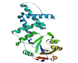 Enolase Phosphatase 1 (ENOPH1)