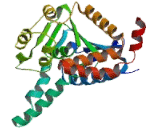 Enoyl Coenzyme A Hydratase 1, Peroxisomal (ECH1)